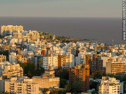 Vista aérea de edificios de Pocitos al atardecer con el fondo del Río de la Plata - Departamento de Montevideo - URUGUAY. Foto No. 85373